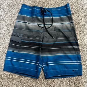 O'Neill Men's Multicolor Striped Board Shorts